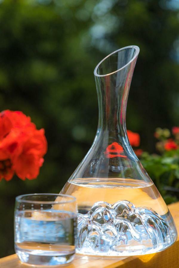 Gite&Spa Le Montagnard Saint-Jean-Saint-Nicolas 외부 사진